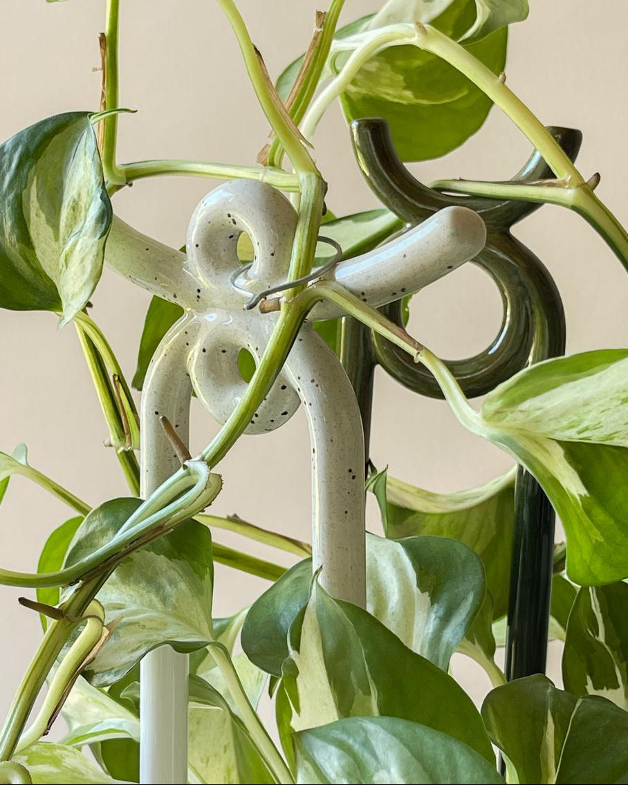 Plantepind Bergs Potter