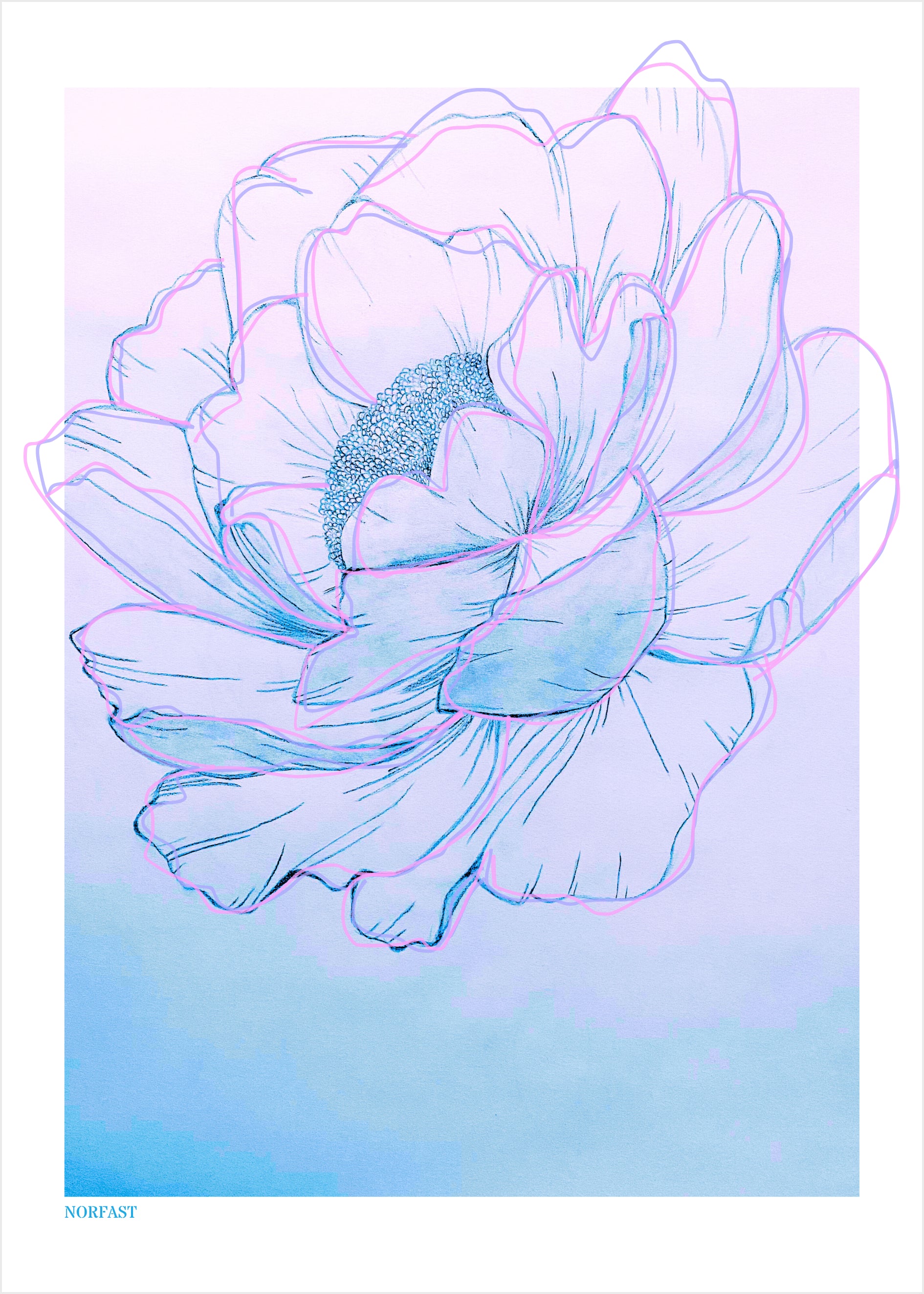 Lotus under blå himmel