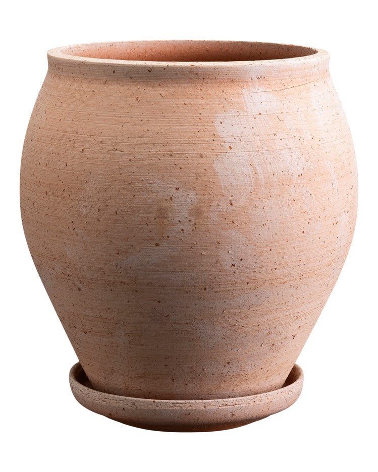 Delphi - rosa terracotta
