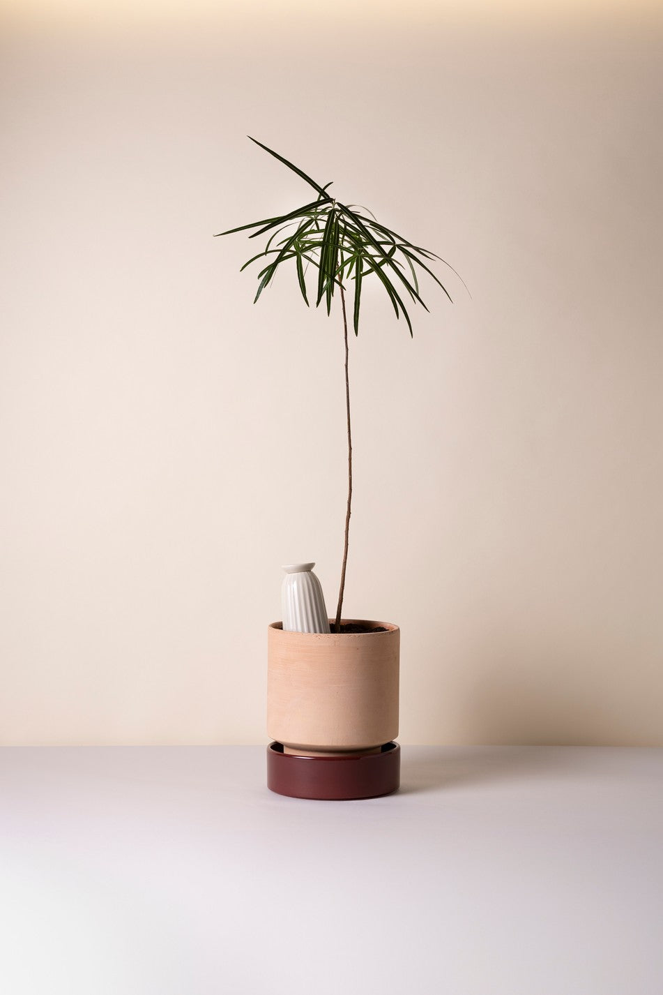 Cove - selvvander til potter