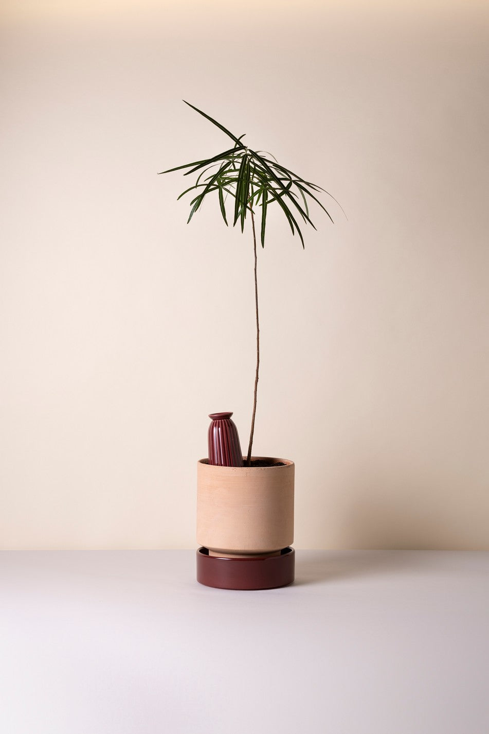 Cove - selvvander til potter