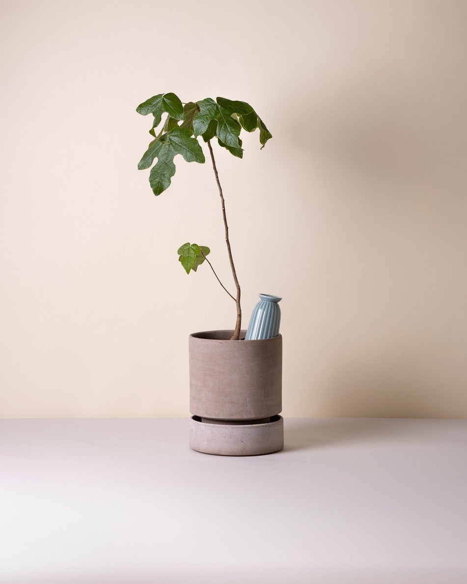 Cove - selvvander til potter