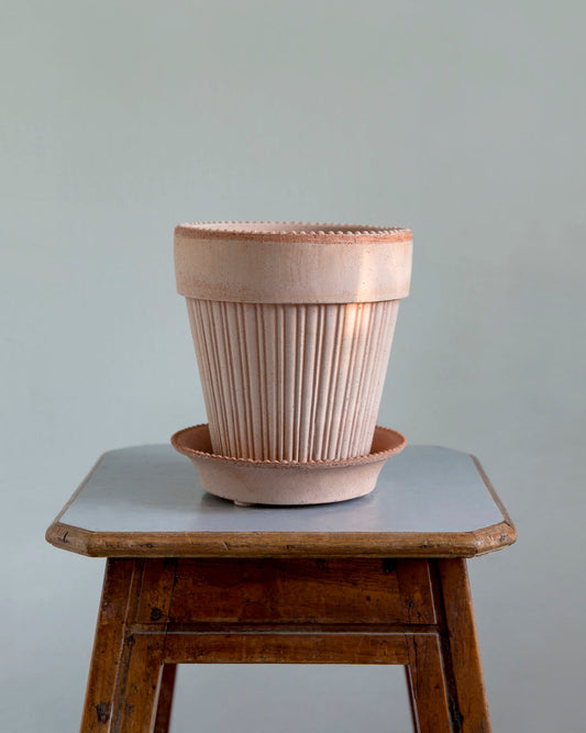 Simona potte i terracotta