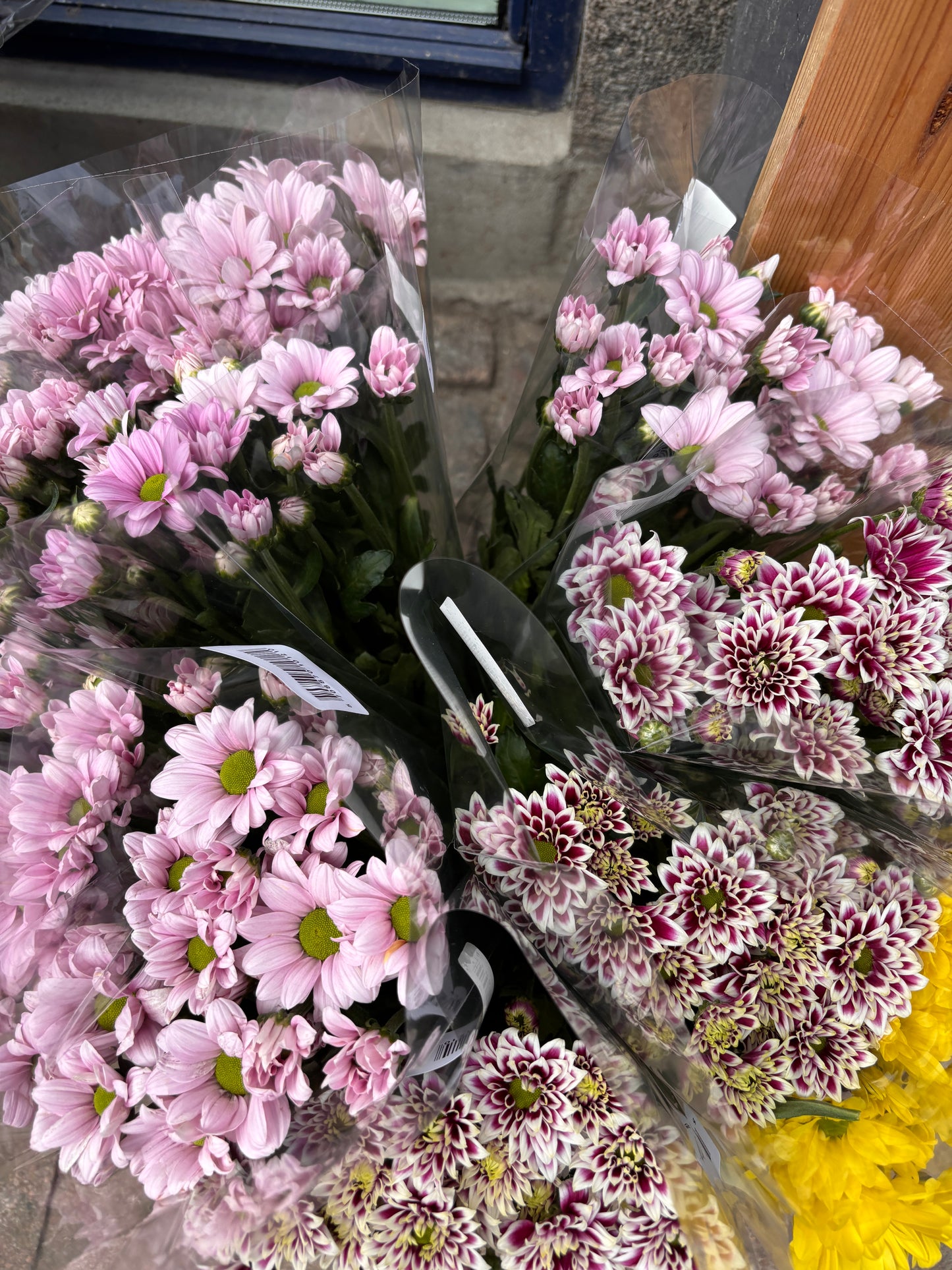 Chrysanthemum buket