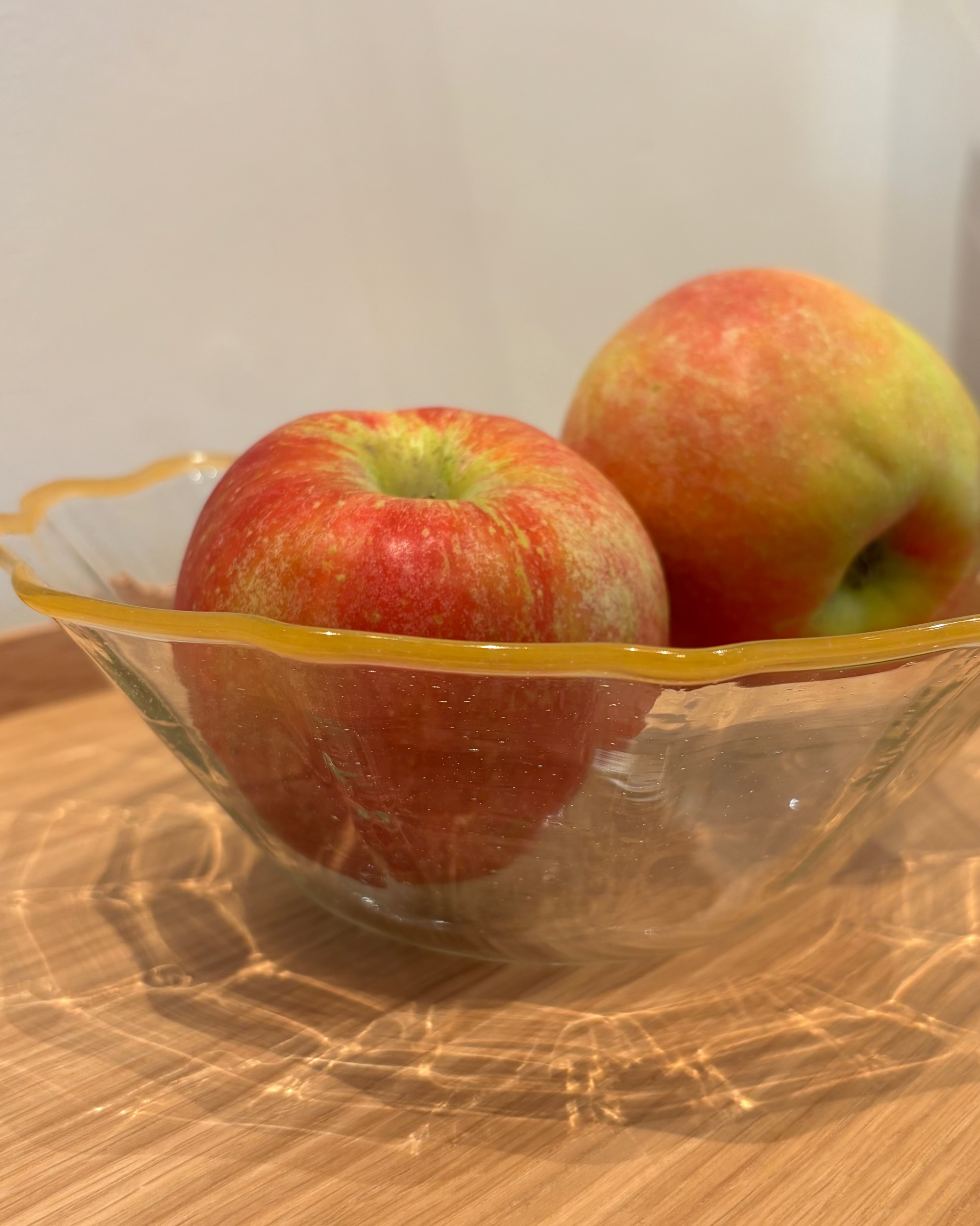 ReUse optikskål, farvet