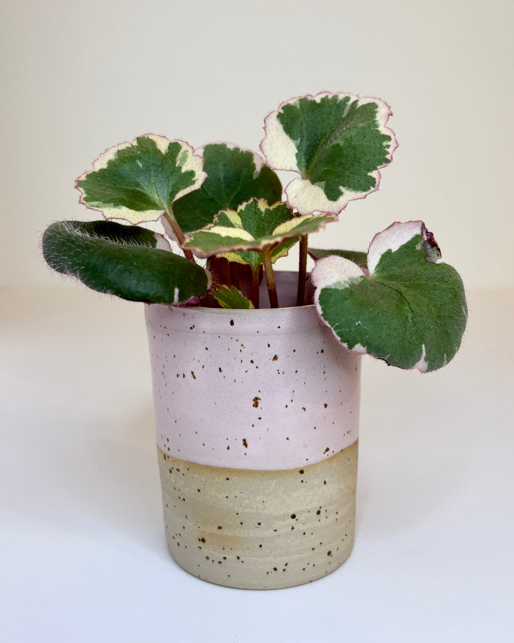 Zylindervase