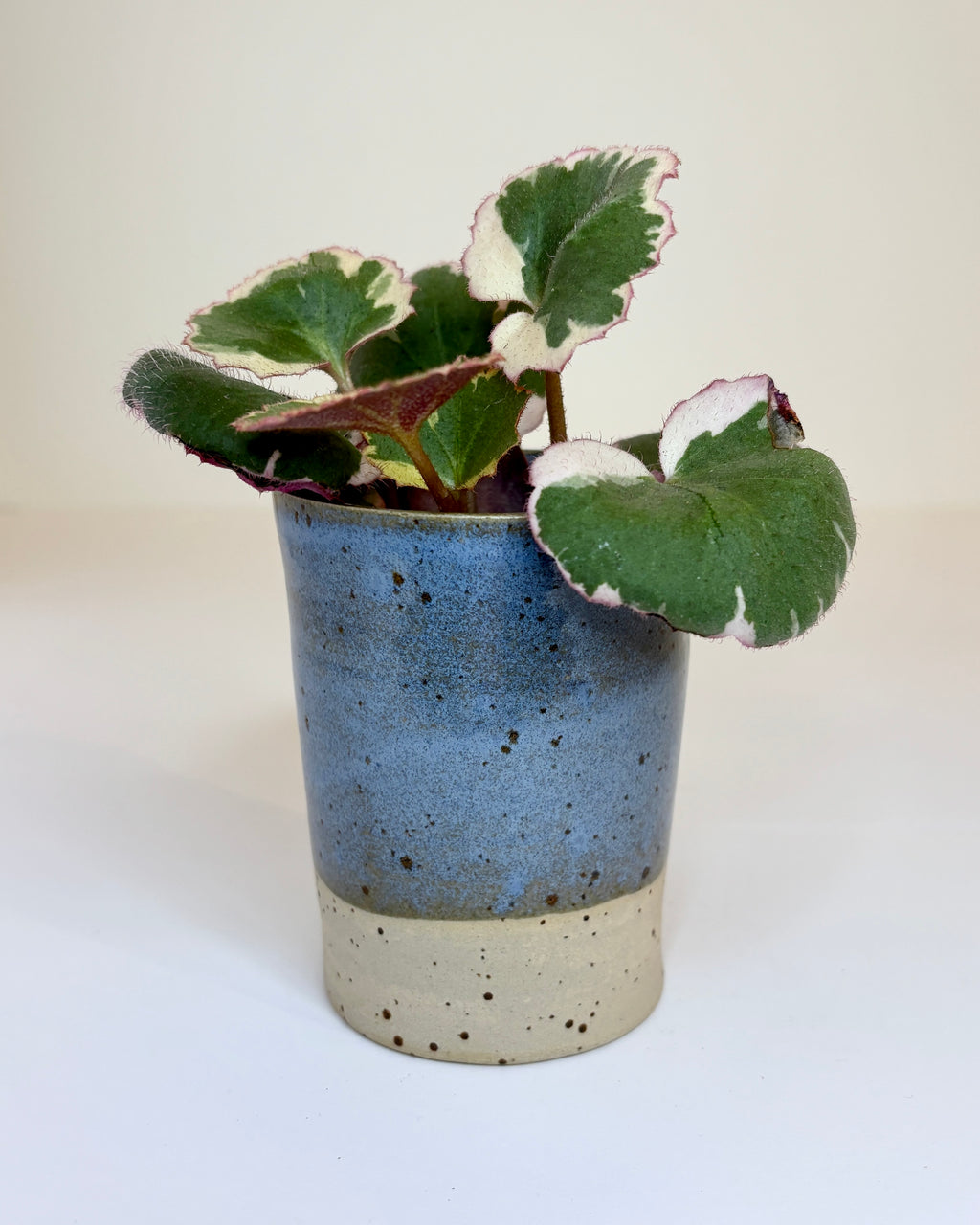 Zylindervase