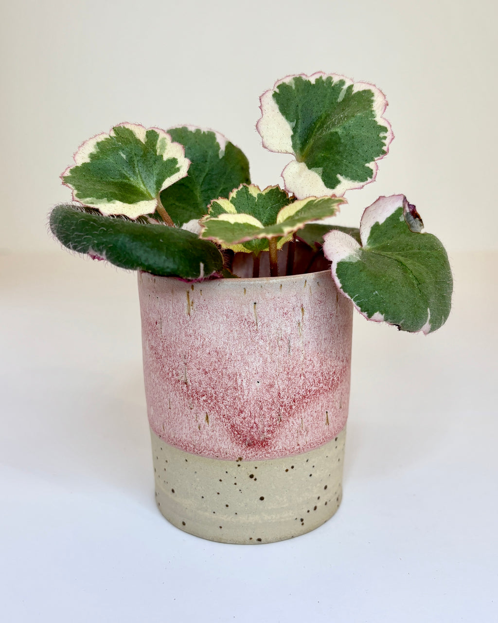 Zylindervase