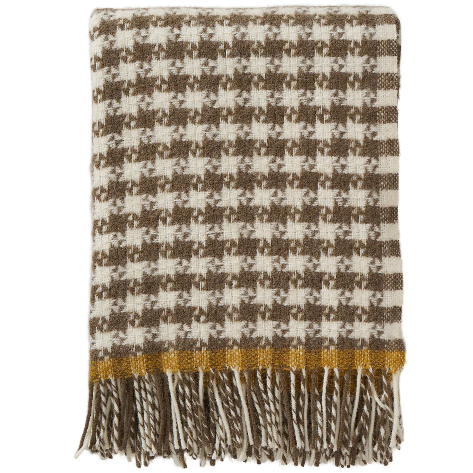 Dogtooth mud mustard