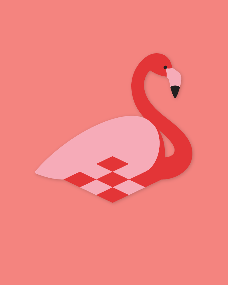 Flet selv fulg - Flamingo