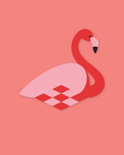 Flet selv fulg - Flamingo