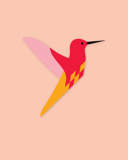 Flet selv fulg - Kolibri