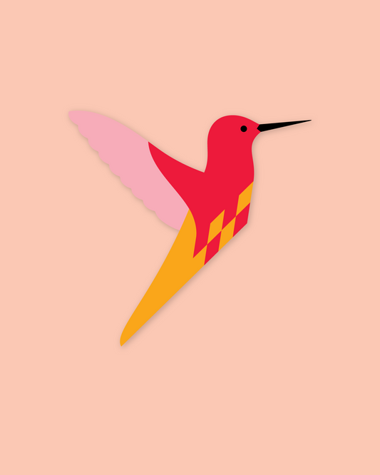 Flet selv fulg - Kolibri