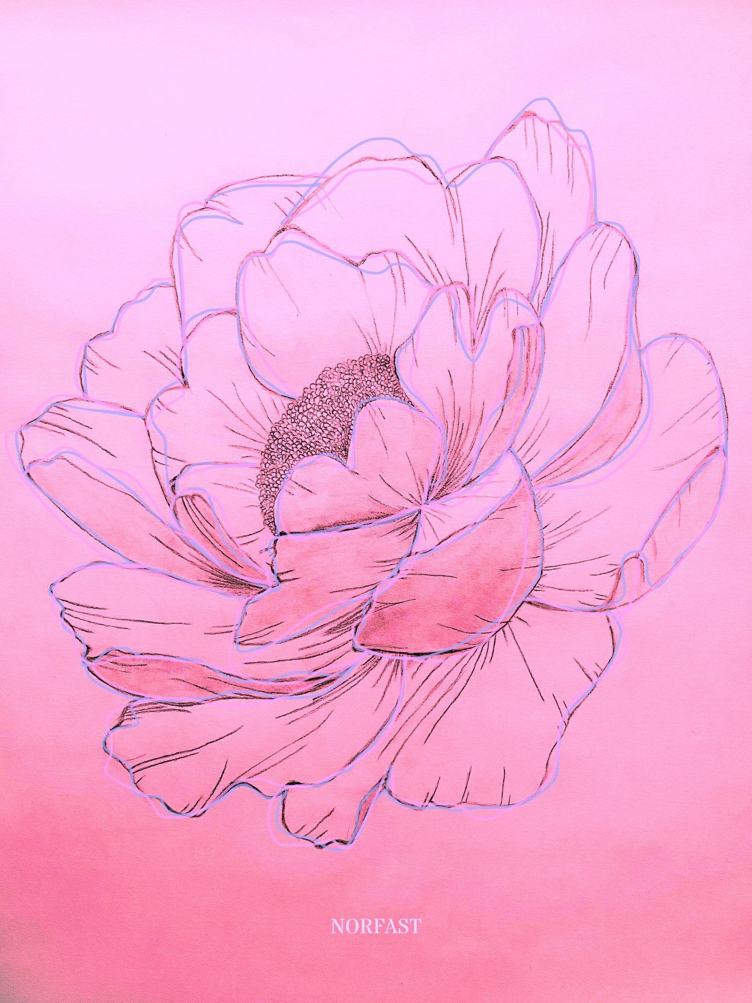 Lotus i lyserød 30x40