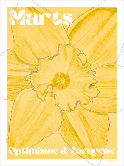 Fødselsblomst plakat A4 - Alle måneder